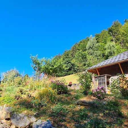Chambre D'Hotes L'Aire Du Temps Savoyard Ugine Exterior photo