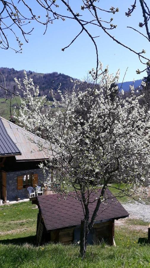 Chambre D'Hotes L'Aire Du Temps Savoyard Ugine Exterior photo